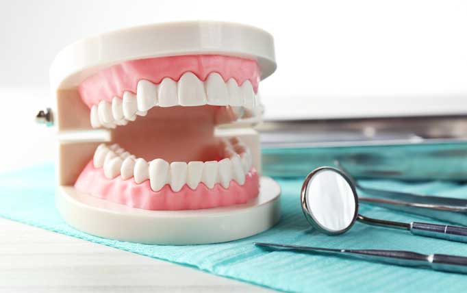 Diş Sağlığım & Dişler Neden Çürür?